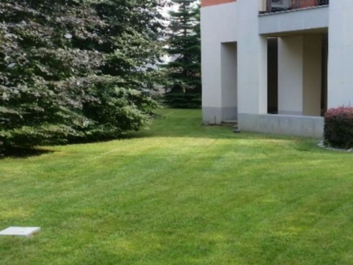 Archisio - I Giardini Dei Tudor - Progetto Realizzazione di giardino