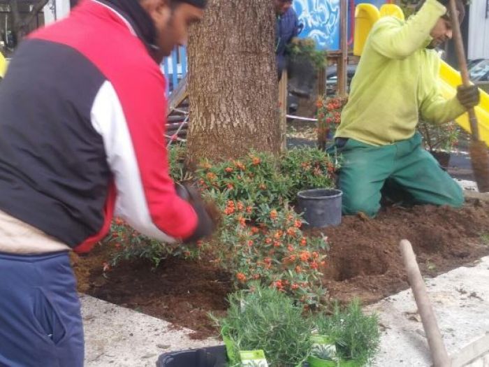 Archisio - Laandcr Giardinaggio - Progetto Derattizzazione