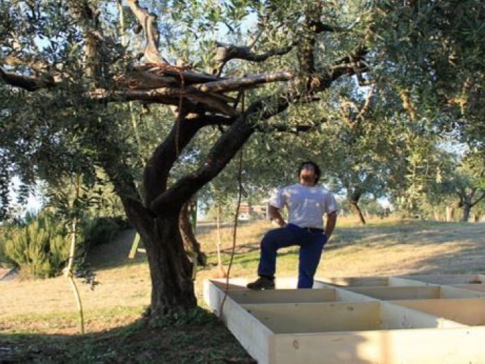 Archisio - Casalberi - Progetto La casa nelloliveto