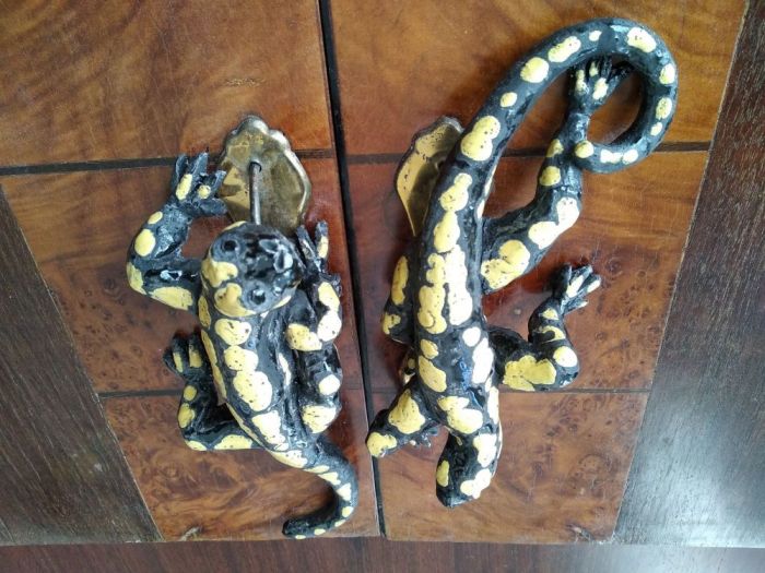 Archisio - Emilio Alberti - Progetto Salamandre