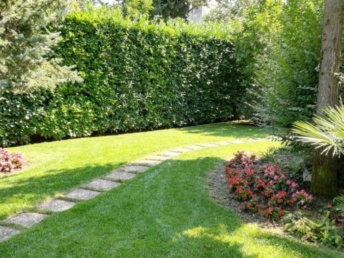 Archisio - Verdein Ss - Progetto Galleria