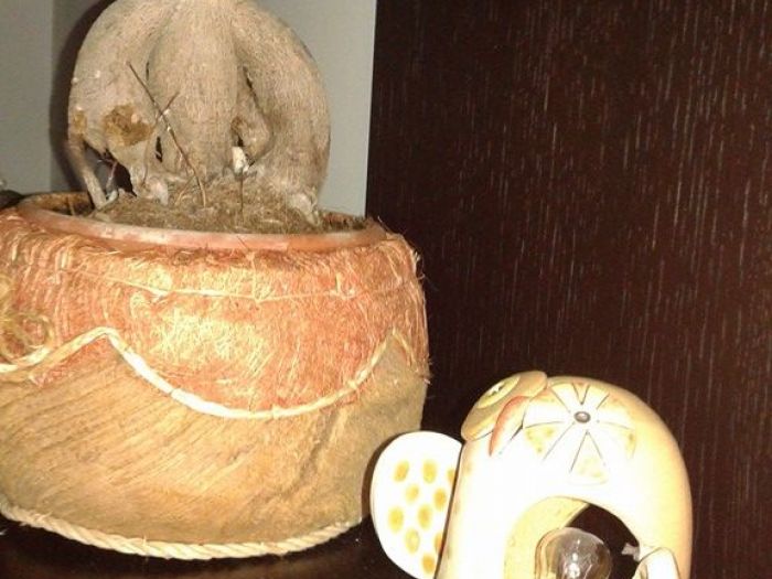 Archisio - Pachamama Laboratorio Artigiano Di Ceramica - Progetto Lavori di artigianato