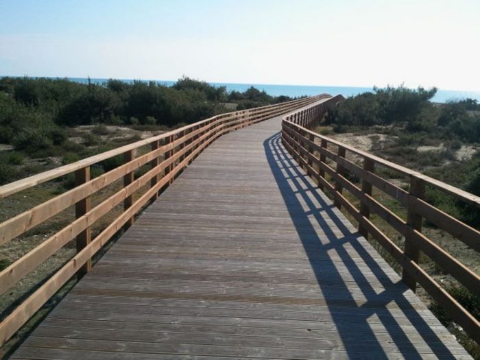 Archisio - Costruzioni Innovative - Progetto Ponti in legno