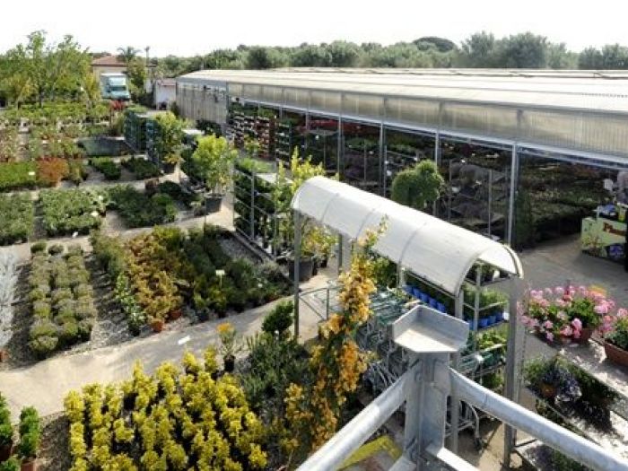 Archisio - Piante Macri - Progetto Il vivaio