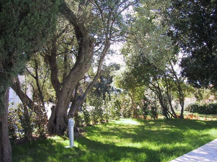 Archisio - Alberto Albeggiani - Progetto Cap dantibes - costa azzurra