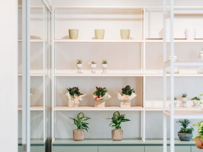 Archisio - 2310 Interior Designer - Progetto Fioreria