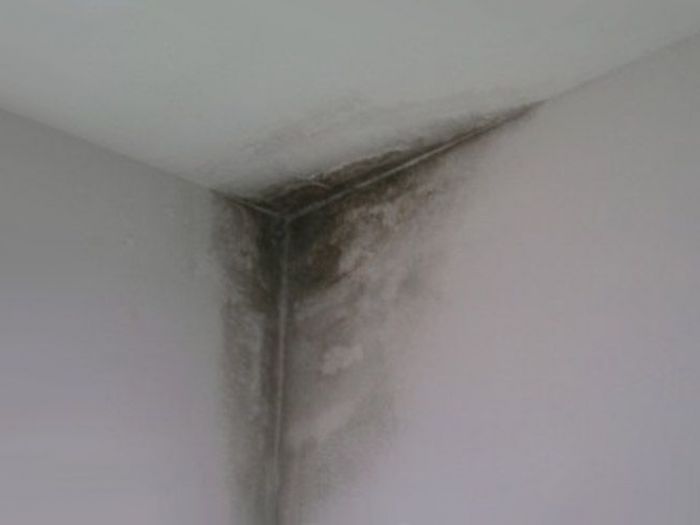 Archisio - De5 Linear House - Progetto Ripristino e restauro