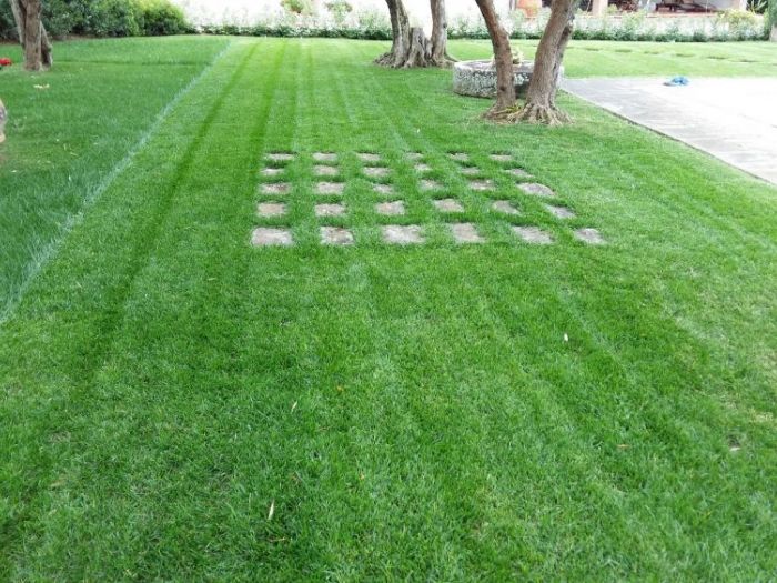 Archisio - Lidea Verde Snc Di Bandini Fabio C - Progetto Giardini