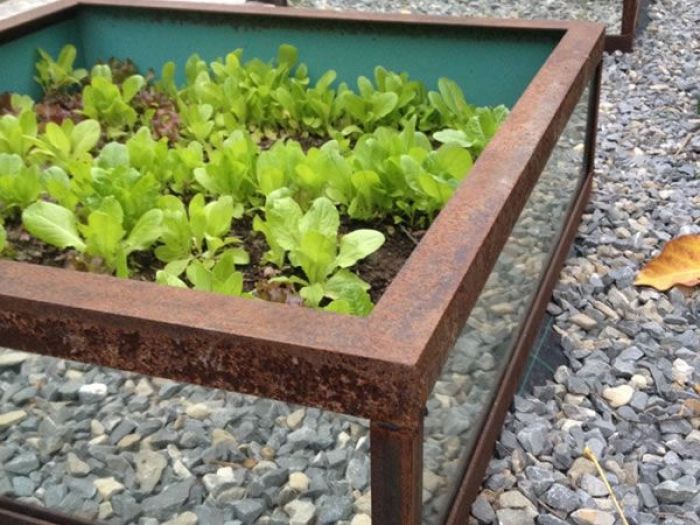 Archisio - Carlo Maria Maggia - Progetto Giardini