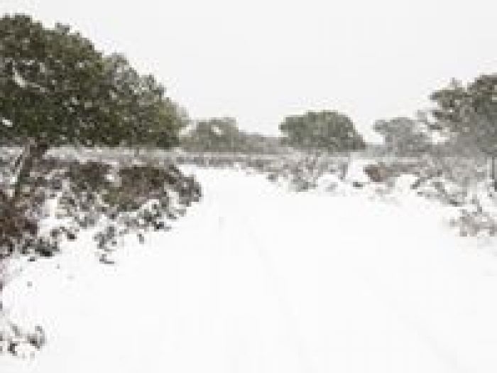 Archisio - Alessandro Corongiu Fotografia - Progetto Giara sotto la neve