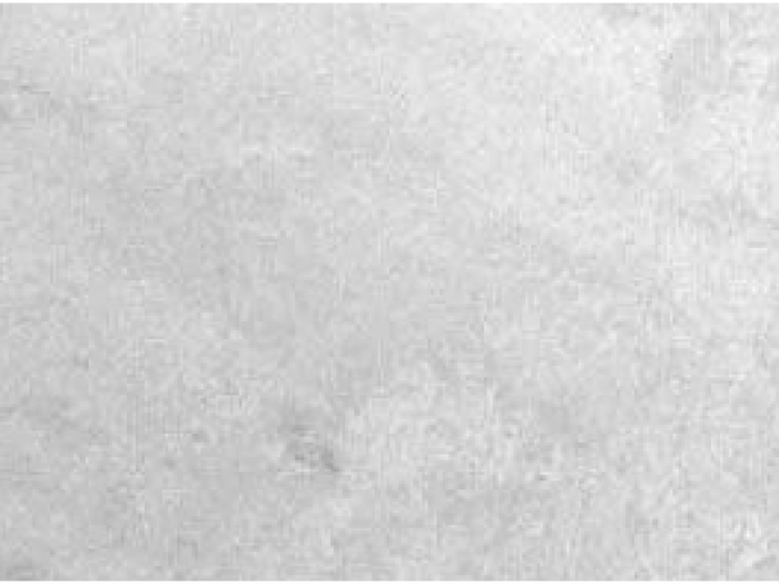 Archisio - Evoluzione Sc - Progetto Soluzioni