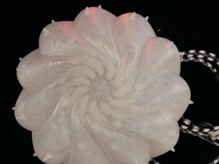 Archisio - Serena Fanara - Progetto Desert light modello cereus spiralis