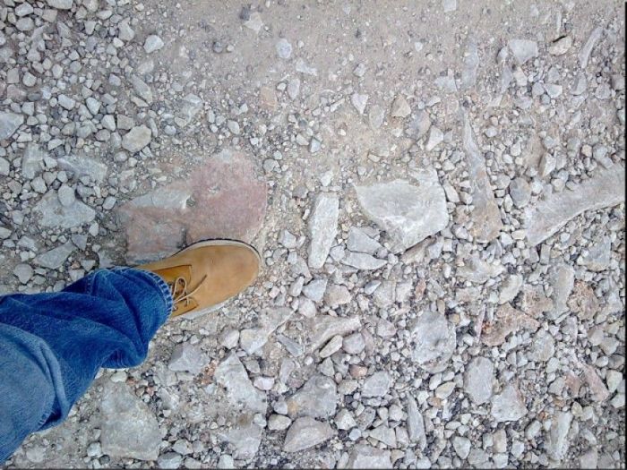 Archisio - Fgs Project Stp Sas - Progetto Strada san leopoldo