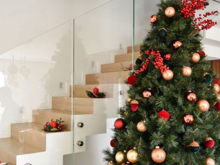 Archisio - Deark Officina Architettura - Progetto Casa pelle