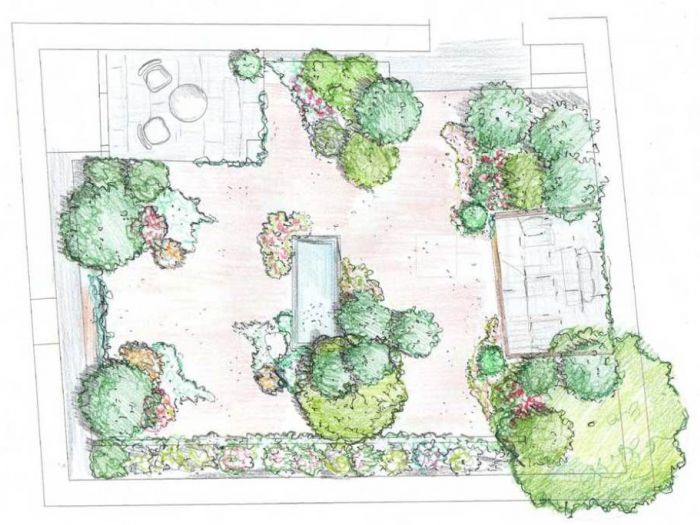 Archisio - Adriana Pedrotti - Progetto Il giardino senzacqua xeriscaping