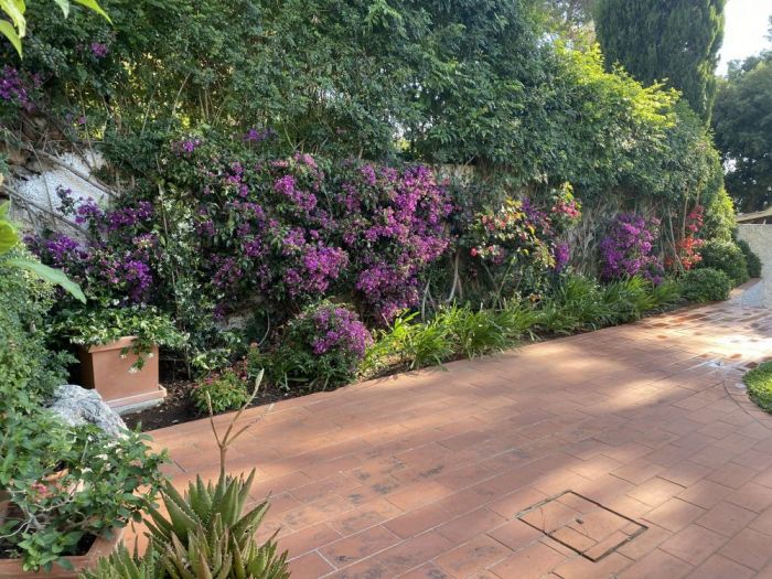 Archisio - Claudia Dibbe Piazza - Progetto Villa bianca