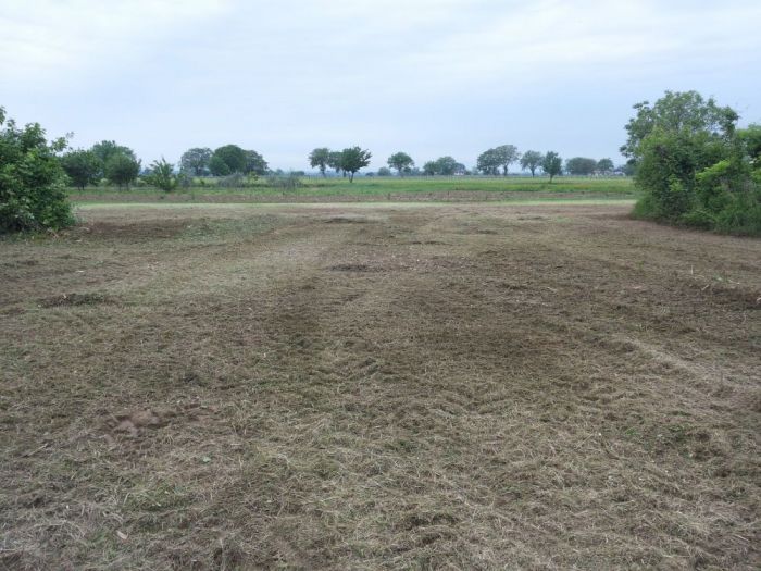 Archisio - Il Dottore Del Verde Di Bruno Barnaba - Progetto Trinciatura di aree incolte