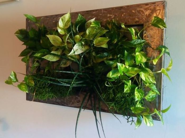 Archisio - Il Girasole - Progetto Realizzazione con piante vere