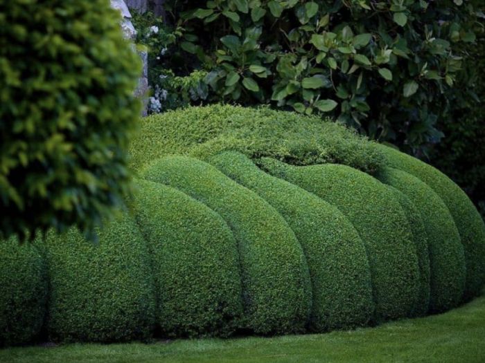 Archisio - Claudia Dibbe Piazza - Progetto Allinsegna di piet oudolf