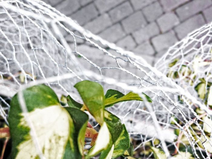 Archisio - Simone Ottonello - Progetto Giardino privato