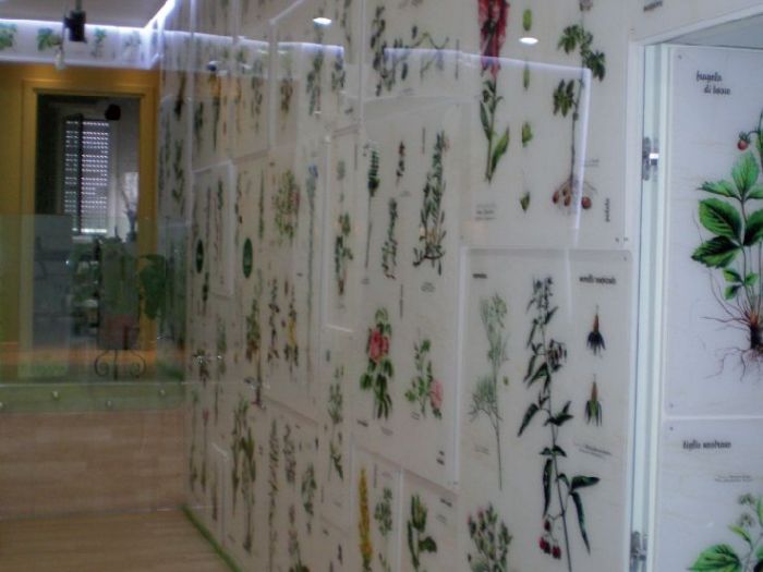 Archisio - Studio Faiazza Architettura E Design - Arch Ascenzio Faiazza - Arch Valeria Verzella - Progetto Studio medico-sala dattesa