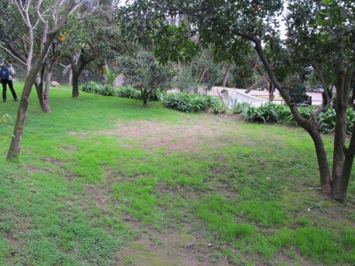 Archisio - Architetto Del Paesaggio Designer Del Verde - Progetto Laghetto decorativo