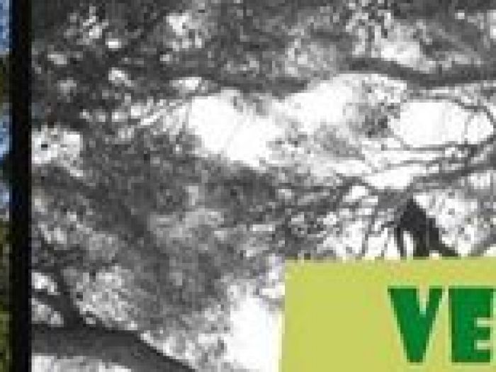 Archisio - Vertical Green - Progetto Cura del paesaggio