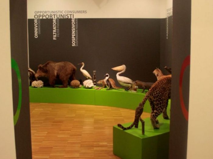 Archisio - Leolab - Progetto Museo di storia naturale