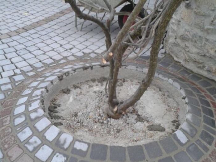 Archisio - Ristrutturazioni Di Conteddu Stephan - Progetto Lavoro 4