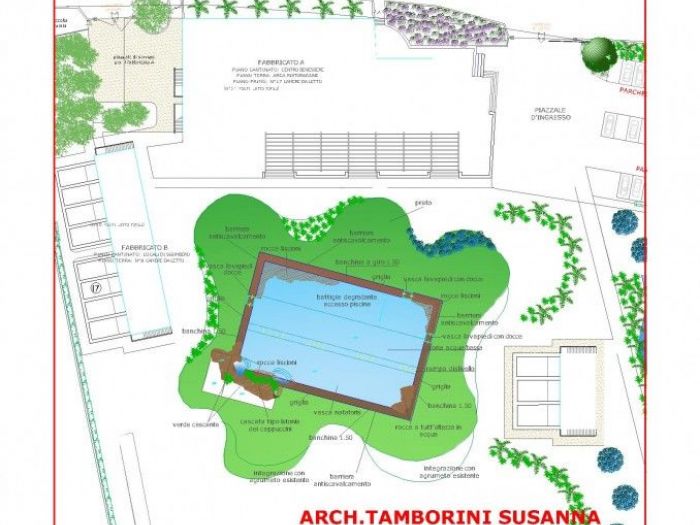 Archisio - La Paesaggista Susanna Tamborini - Progetto Giardino e piscina circeo