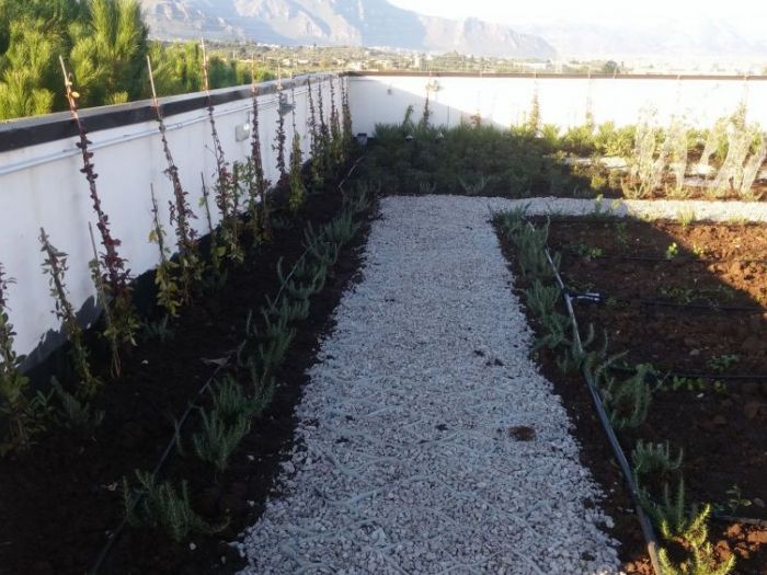 Archisio - Maria Giammarresi - Progetto Giardino pensile - arriva con la legge di bilancio 2018 il bonus verde per giardini terrazzi balconi giardini pensili e coperture anche condominiali - il nostro studio fornisce la consulenza necessaria ai fini dellottenimento del bonus