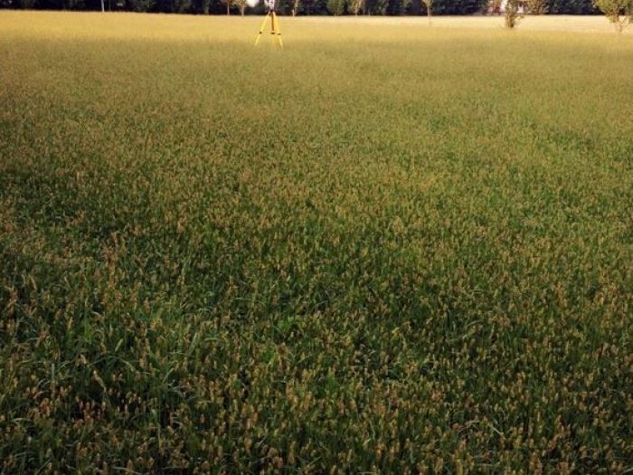 Archisio - Alberto Facco - Progetto Rilievi catasto