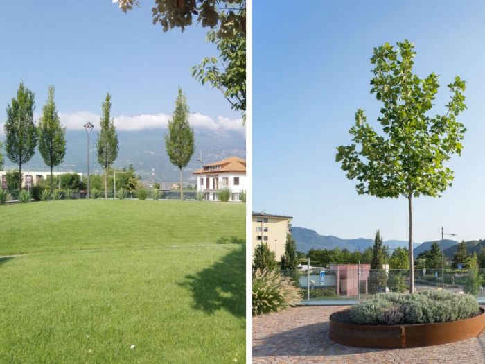 Archisio - Manuel Benedikter - Progetto Wga grieser auen