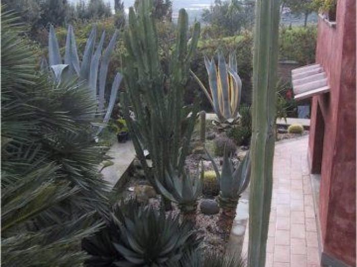 Archisio - Francesca Bertini - Progetto Colle delluliveto