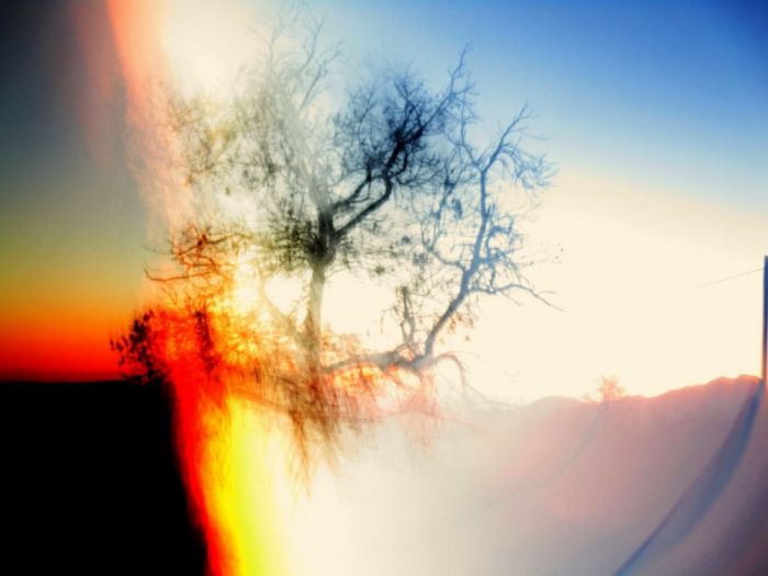 Archisio - Testadilegno - Progetto Foto