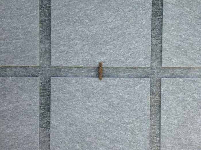 Archisio - Marmi 3 Snc - Progetto Rivestimenti tombe di famiglia