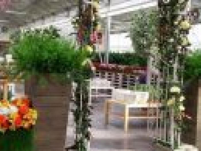 Archisio - Piante Macri - Progetto Il garden