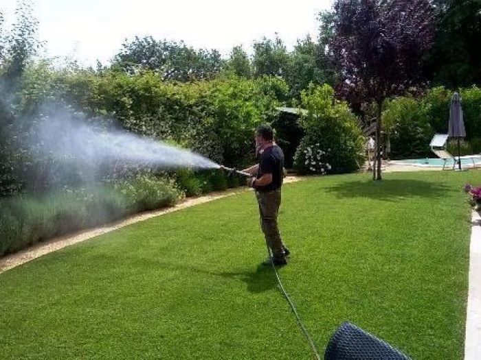 Archisio - Verdeidea - Progetto Disinfestazioni