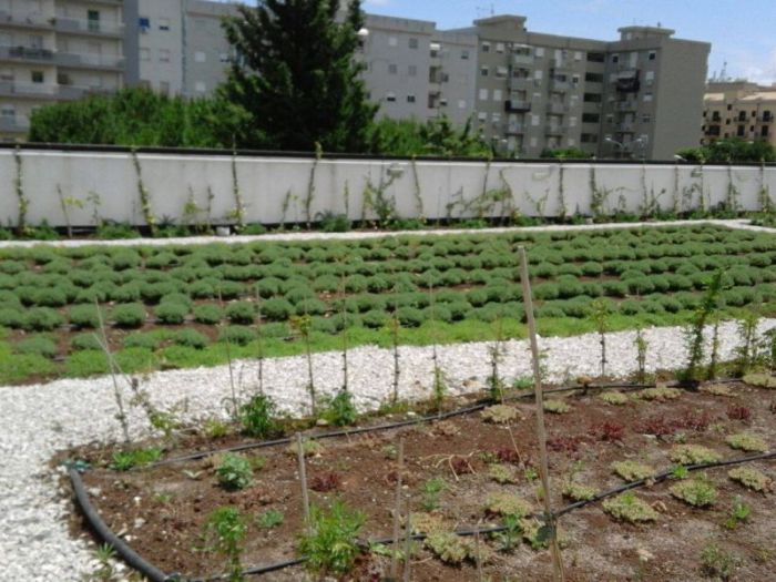 Archisio - Maria Giammarresi - Progetto Giardino pensile - arriva con la legge di bilancio 2018 il bonus verde per giardini terrazzi balconi giardini pensili e coperture anche condominiali - il nostro studio fornisce la consulenza necessaria ai fini dellottenimento del bonus