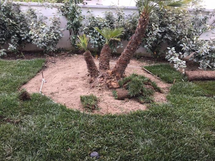 Archisio - Rocca Di Mezzo Srls - Progetto Giardini