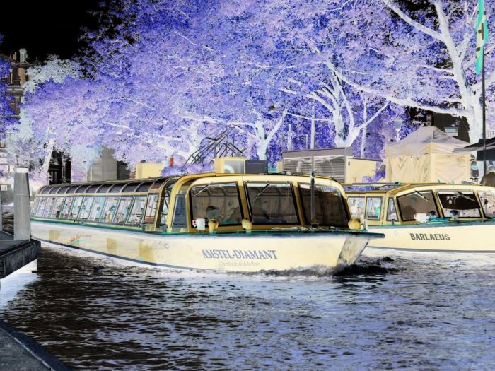 Archisio - Gianluca Vetrugno Meltem Kosan the Art Of The Negative - Artisti - Progetto Galleria 2 paesaggi