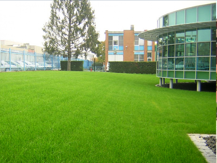 Archisio - Lo Sciame - Progetto Realizzazione di spazi verdi