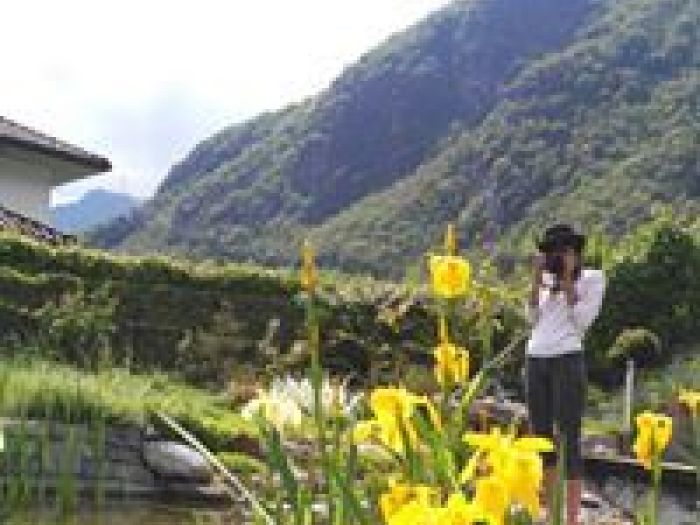 Archisio - Arqtropa Studio - Progetto Piscine naturali e vegetazione acquatica