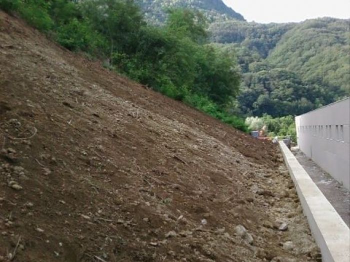 Archisio - Emme Advice - Progetto Medanavisca s R L