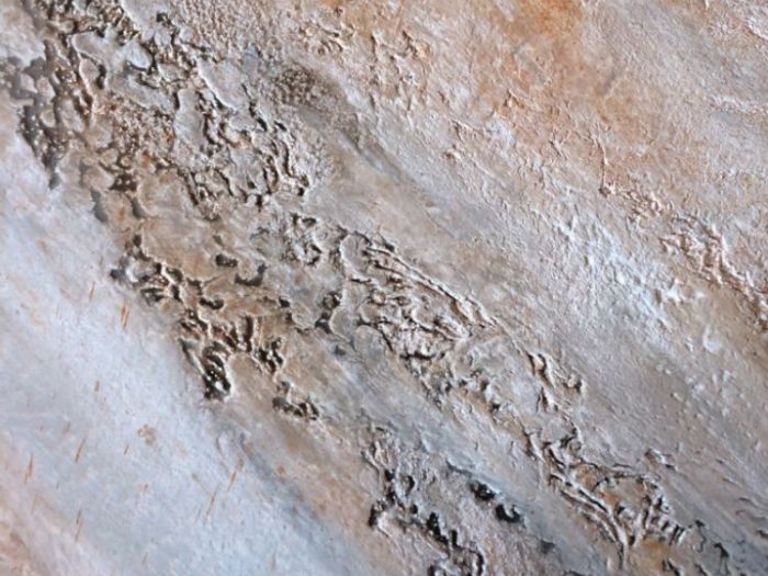 Archisio - Paolo Spigolon - Progetto Questo lavoro lo chiamo nome il nome della mia aziendaspirito libero