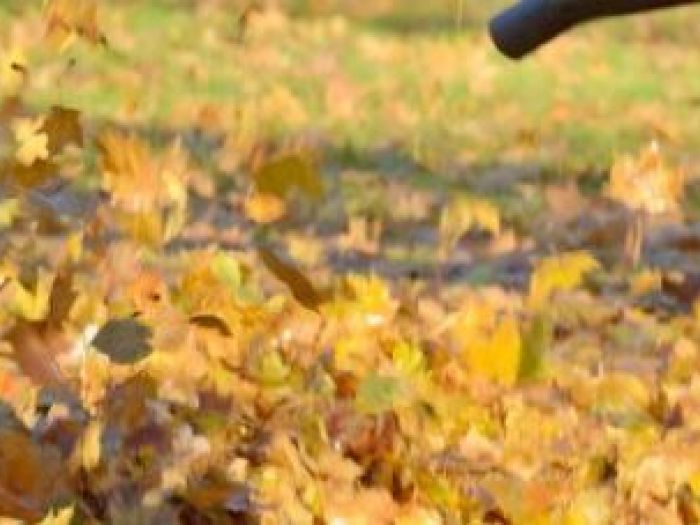 Archisio - Autospurgo De Santis Co - Progetto Pulizia fosse biologiche