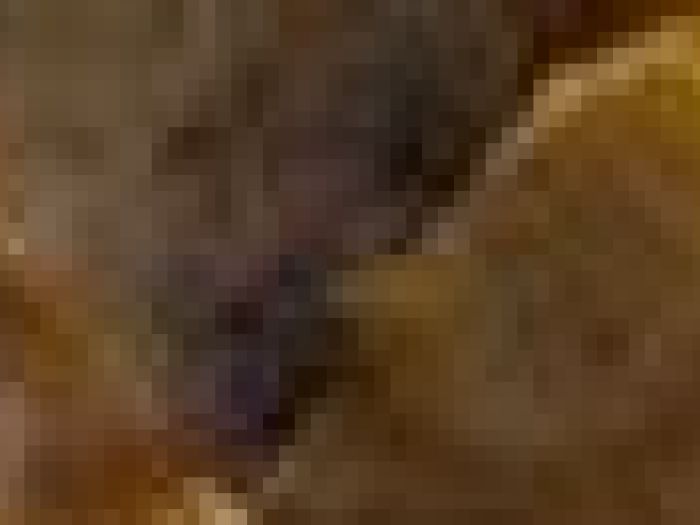 Archisio - Payanini The Stone Brand - Progetto Payanini