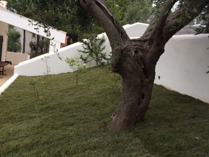 Archisio - Alessandro Baccanico - Progetto Villa marcone