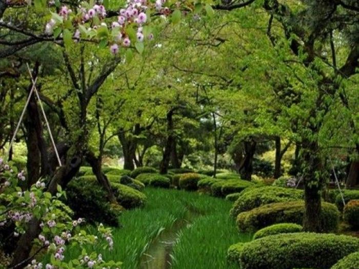 Archisio - Dotto Francesco Consulting Green - Progetto Parchiilluminazione parchi