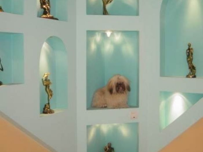 Archisio - Lycosu24 - Progetto Ristrutturazione e progettazione di soggiorni e camere da letto e studi